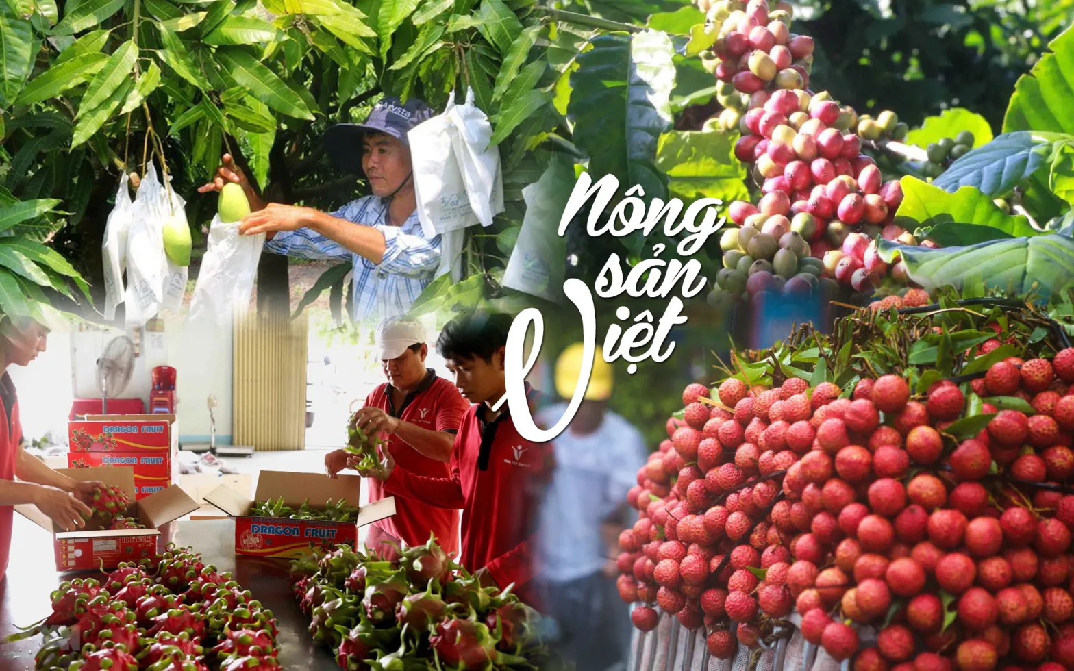 Nông sản Việt Nam