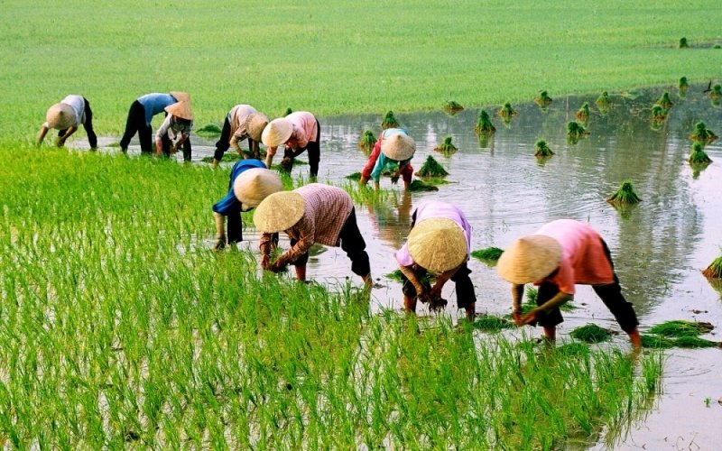 Phát triển cộng đồng