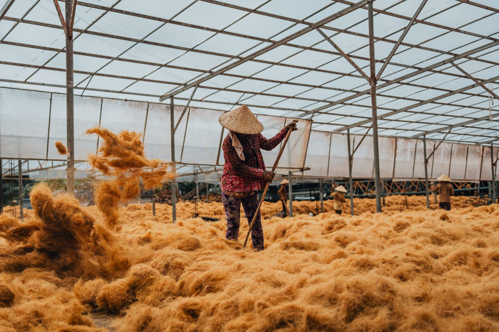 Tạo giá trị cho con người