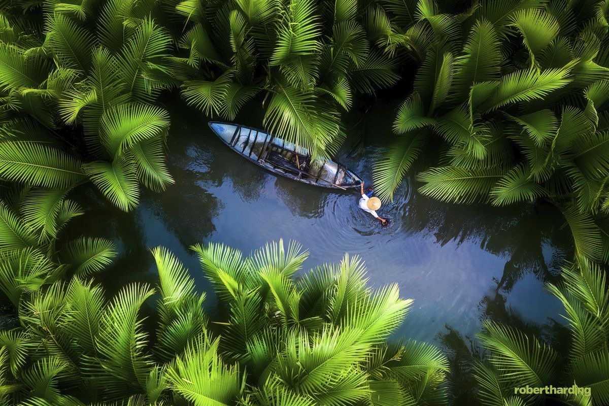 Tôn trọng tự nhiên